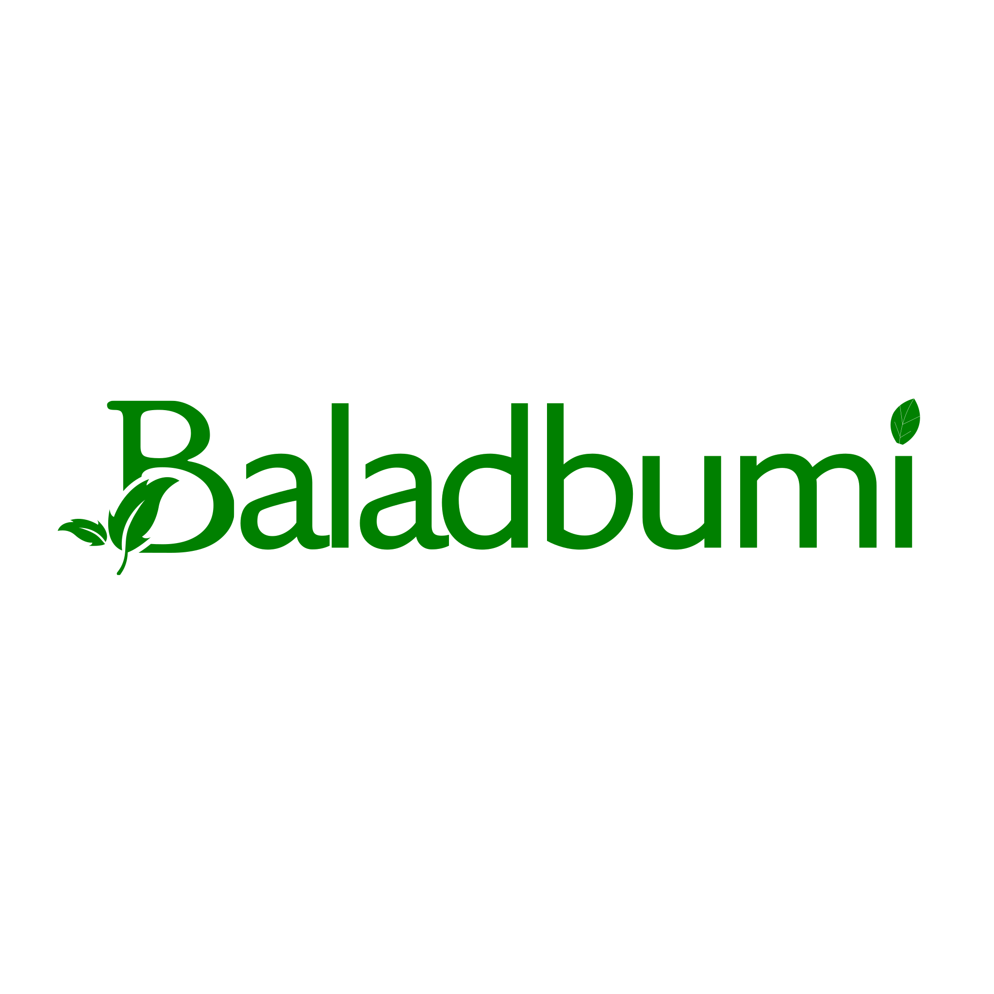 Logo Baladbumi