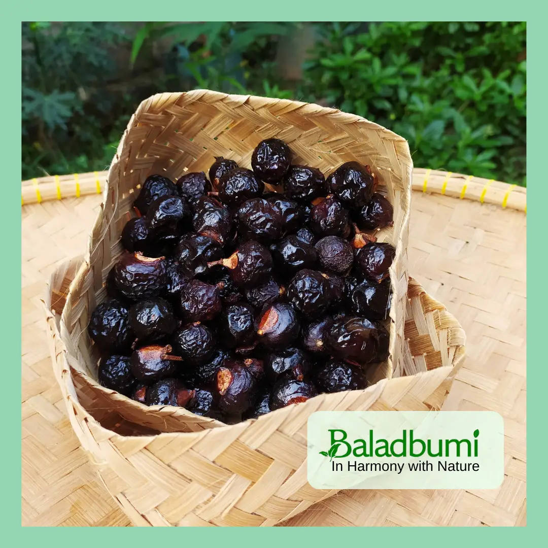 Gambar Buah Lerak Sabun Organik 500 gram